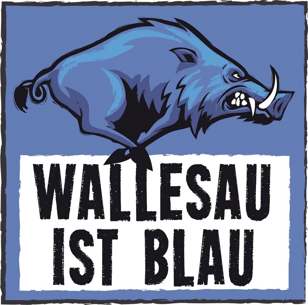 Wallesau ist Blau Open Air 2018